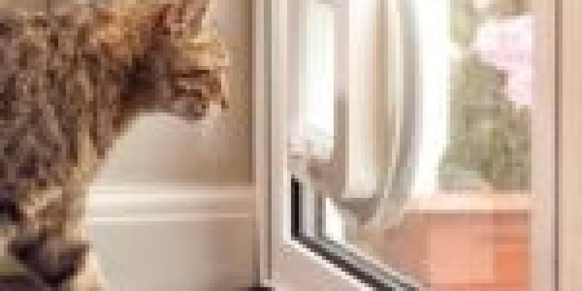10 Certified Cat Flap Installer Related Projects To Expand Your Creativity